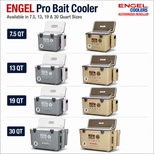 Engel pro live - live, con