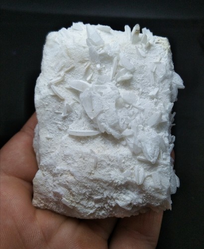 Raro grappolo ambergite - grappolo, di